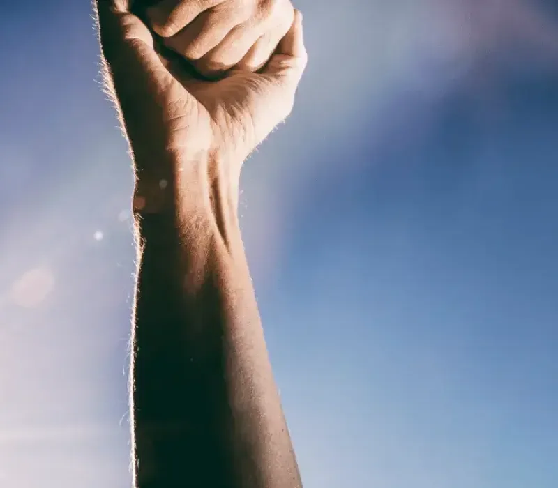 Marka Geliştirme Aşamasını Asla Atlamayın!